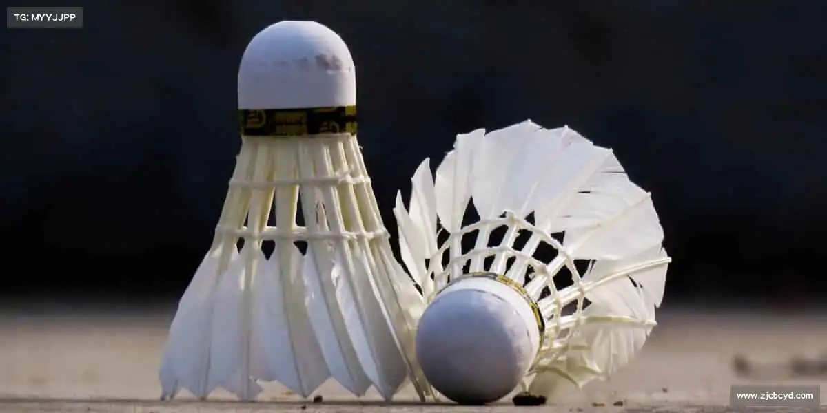 我们的核心竞争力